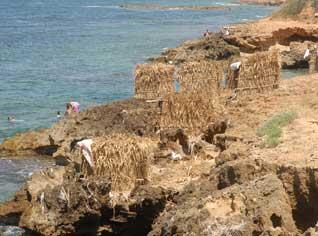 Des débauchés transforment la plage de Bérard en nid de prostitution