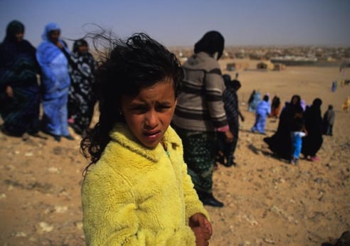 Des staffeurs américains à Alger  «Le peuple sahraoui est digne des grandes nations»