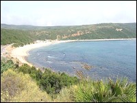 Les plages d’El Tarf comme « boudées » par les vacanciers