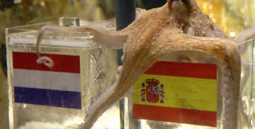 Mondial 2010 : Les points marquants