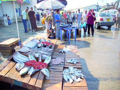 Selon l’Office national des statistiques Viandes, poissons et produits agricoles toujours chers