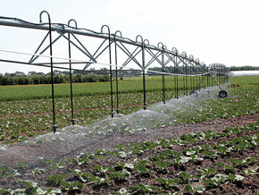 Un programme pour l’utilisation des eaux d’assainissement pour l’irrigation agricole