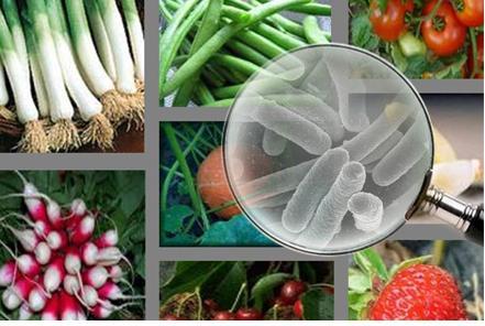 Utilisation des pesticides dans l&rsquo;agriculture :Que met-on dans nos assiettes ?