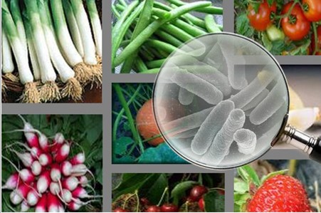 Utilisation des pesticides dans l’agriculture : Que met-on dans nos assiettes ?