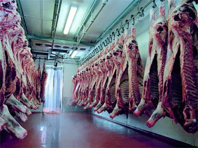 260Tonnes de viande congelée son arrivée hier au port d&rsquo;alger:L&rsquo;Institut Pasteur d’Algérie analysera les échantillons