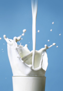 Affaire des 800 tonnes de poudre de lait périmée à Mascara :L&rsquo;Onil, responsable du scandale ?