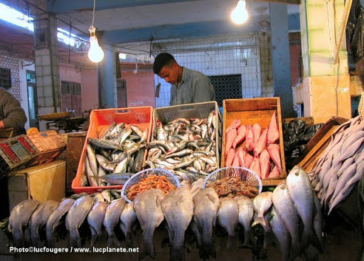 En prévision du mois de ramadhan Importation de 200 tonnes de poisson