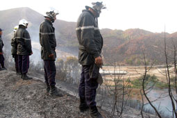 Feux de forêt Des centaines d’hectares incendiés en trois jours