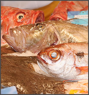 La dorade, la sardine et, peut-être, la crevette, à moins de 100 DA ?