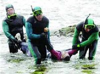 L’Embarcation des harraga a échoué au large de l’île espagnole de Tabarca (Alicante) : Dix disparus, deux secourus et deux cadavres repêchés