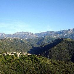 Sept terroristes éliminés à Béni-Yenni (Tizi Ouzou)