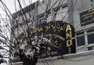 Algérie-USA : Une douzaine de projets d’investissements américains en cours d’étude à l’ANDI