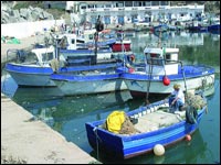 Des terroristes se déplacent à bord des embarcations de pêcheurs Le GSPC opte pour la voie maritime pour fuir les ratissages