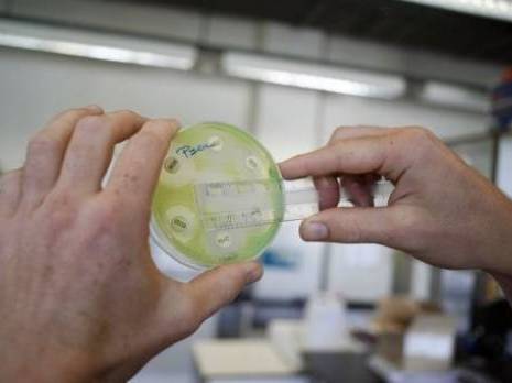 La nouvelle « super-bactérie » venue d&rsquo;Inde: une bombe à retardement mondiale