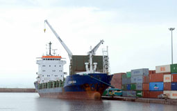 Mobilisation pour faire du convoi algérien le plus gros convoi du monde arabe  Récolte de 150 mille cartables pour les enfants gazaouis en moins d’une semaine