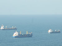 Prés de 40 navires en rade depuis plusieurs jours au port d&rsquo;Alger:Des milliards «jetés» à la mer