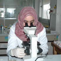 Rétribution de l’activité de la recherche : Elle sera effective à partir du 1er janvier 2011”