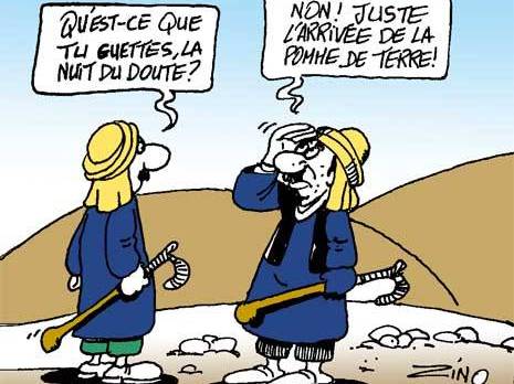 Secteur de l’agriculture à Aïn Defla Déstockage de plus de 19 000 tonnes de pomme de terre