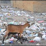 Tamanrasset, ville envahie par les déchets ménagers
