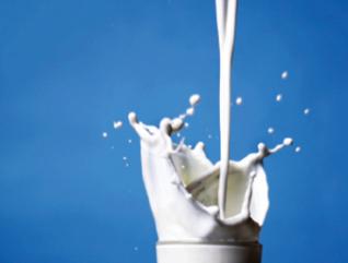 Usage du lait cru : Des mesures incitatives pour les transformateurs