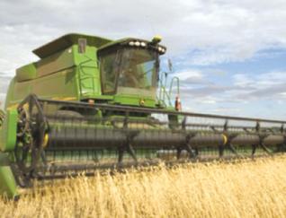 Importateurs du blé dans l’expectative : La tonne importée taxée à 200 dollars