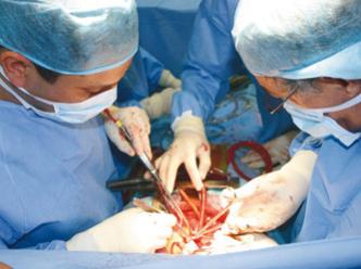 La greffe d’organes en Algérie est très faible