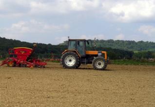 Lancement de la campagne labours-semailles : Sétif, capitale de la céréaliculture