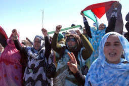 Le Front Polisario appelle l&rsquo;UE à annuler tous les accords de pêche avec le Maroc