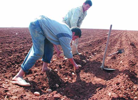 Les agriculteurs ont 18 mois pour changer de statut