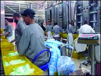 Les nouvelles mesures pour stopper la crise du lait