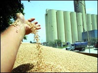 L’insécurité alimentaire plane sur l’Algérie