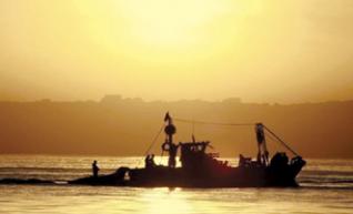 Ouverture des 2èmes assises de la pêche : Optimiser l’exploitation en préservant les ressources halieutiques