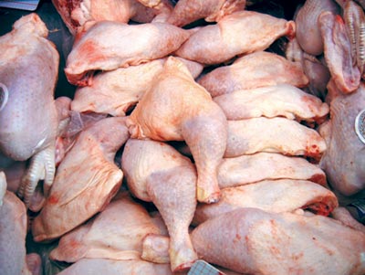POULET : La détresse des producteurs