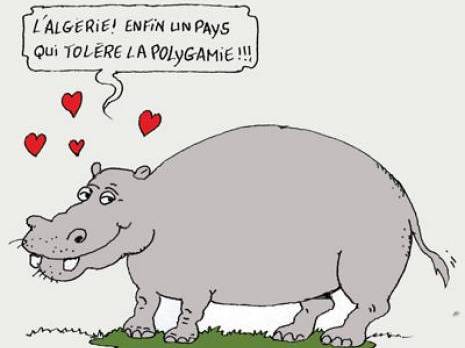 Radolphe est arrivé au parc de Ben Aknoun,Hippopotame et monnaie de singe