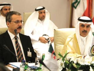 Retour de l’investissement Emirati en Algérie