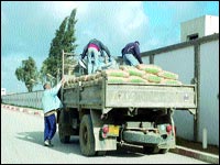 Un vaste trafic de ciment démantelé à l’Est
