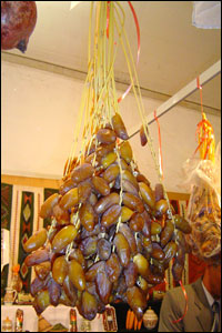 Hausse de la production de dattes en Algérie