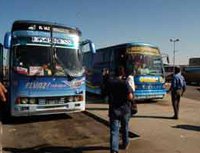 La gare routière du Caroubier risque la paralysie