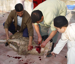 Les Algériens célèbrent mardi l’Aïd El Adha