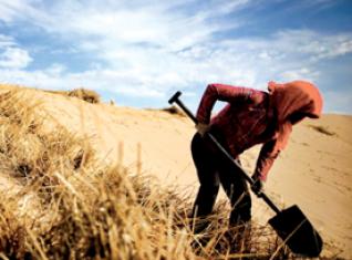 Les terres agricoles sont ‘’insuffisamment fertilisées’’ : «On n’investit pas dans ce qui ne nous appartient pas»