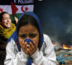 Onze morts dans l’attaque du camp sahraoui, Le bilan s’alourdit