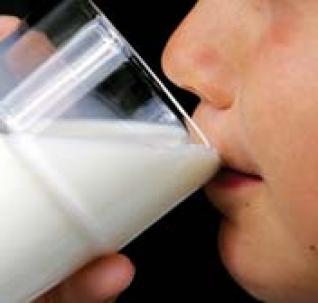 Perturbations reccurentes dans l’approvisonnement en lait : Polémique sur une rupture des stocks