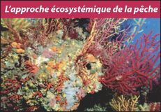 Privilégier l&rsquo;approche écosystémique de la pêche maritime en Algérie