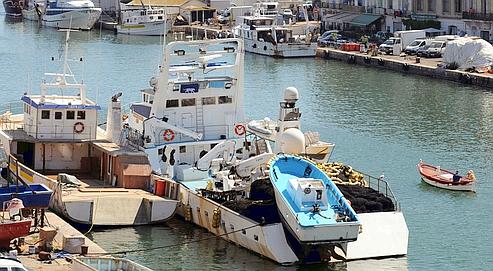 Saisie de 66 caisses de poissons pêchés dans une zone interdite à Beni Saf