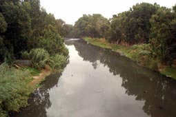 Sellal le reconnaît  « L’état est incapable devant les entreprises polluant Oued El Harrach »