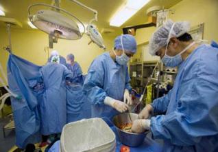 Transplantation rénale : Encourager le prélèvement sur cadavre