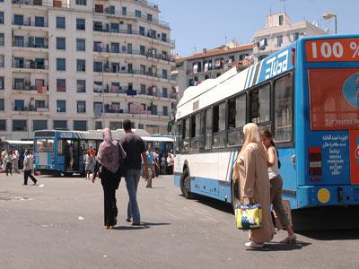 Transport en commun (Etusa),Les pickpockets seigneurs des autobus