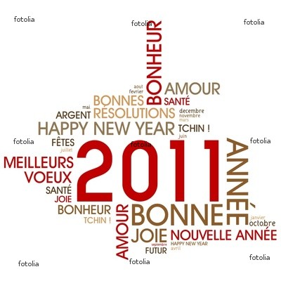 Bonne année 2011, chers lecteurs !