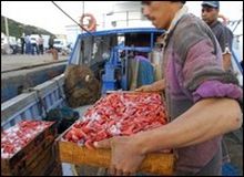 Consommation de poissons: la priorité accordée au marché national