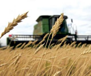 Crise céréalière : L’urgence d’un dialogue